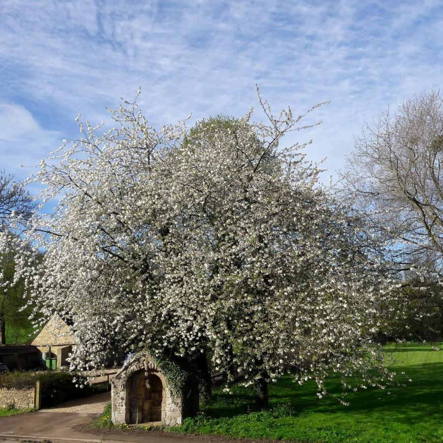 Wayside House B&B Whichford Exteriör bild